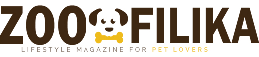 Life Style Magazine For Pet Lovers Png